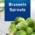 Birds Eye Steamfresh Brussels Sprouts Frozen Vegetables Perspective: left