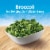 Birds Eye Steamfresh Garlic Butter Broccoli Frzn Perspective: left