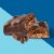 Fiber One Weight Watchers Fudge Chocolate Cookie Protein Bars Perspective: left