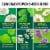Iberogast™ Digestive Relief Softgels Perspective: left
