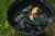 Royal Oak® Tumbleweeds™ Natural Fire Starters Perspective: left