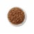 Purina ONE True Instinct Wet Cat Food Tuna Recipe in Sauce Perspective: left