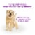 Purina Beneful® Chopped Blends™ Wet Dog Food Variety Pack Perspective: left