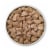 Purina ONE True Instinct Wet Dog Food Tender Cuts in Gravy Real Chicken & Duck Perspective: left
