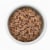 Purina Beyond Organic Chicken & Sweet Potato Wet Dog Food Perspective: left