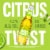 Bud Light Lime American Lager Beer Perspective: left