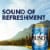 Busch American Lager Beer Perspective: left