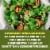 Panera Bread Blueberry Pomegranate Vinaigrette & Marinade 12 fl oz Perspective: left
