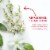 Ban Invisible Roll-on Antiperspirant and Deodorant for Women and Men, Regular Scent Perspective: left