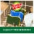 Scotch-Brite® Heavy Duty Scrub Sponges Perspective: left