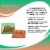 The Golden Girls Rushmore Chia Pet Decorative Planter Toynk Exclusive Perspective: left
