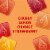 Starburst Goodies Original Plant Based Fruit Gummy Candy Bag Perspective: left