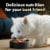 CESAR Rotisserie Chicken Bacon & Cheese Filet Mignon Bacon & Potato Adult Wet Dog Food Variety Pack Perspective: left