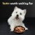 Cesar Loaf & Topper In Sauce Angus Beef Bacon & Cheese Adult Soft Wet Dog Food Perspective: left