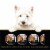 Cesar® Home Delights™ Hearty Chicken & Noodle Dinner Wet Dog Food Tray Perspective: left