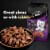 Cesar Filet Mignon New York Strip and Prime Rib Adult Wet Dog Food Perspective: left