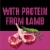 Crave Grain Free Lamb Dry Dog Food Perspective: left