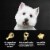 Cesar Loaf & Topper Soft Wet Dog Food Bacon Feast Rotisserie Chicken & Angus Beef Variety Pack Perspective: left