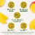 DEL MONTE Diced Mango FRUIT CUP Snacks in 100% Fruit Juice 4 Pack Perspective: left