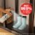 Family Guard™ Disinfectant Spray Citrus Perspective: left