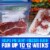 Ziploc® Brand Quart Freezer Storage Bags, Stay Open Design, Easy to Fill, 24 count Perspective: left