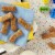 Kellogg's SCOOBY-DOO! Honey Baked Graham Cracker Snacks Perspective: left