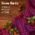 Downy Cozy Collection In Wash Scent Booster Beads, Snow Berry Scent Perspective: left
