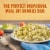 Bertolli Pasta Sides Cheese Lovers Tortellini Frozen Side Dish Perspective: left