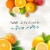 Josh Cellars Seaswept Sauvignon Blanc & Pinot Grigio White Wine Perspective: left