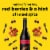 Yellow Tail Pinot Noir South Eastern Australia Red Wine Perspective: left