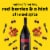 Yellow Tail Pinot Noir South Eastern Australia Red Wine Perspective: left