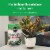 Miracle-Gro® Tropical Potting Mix Perspective: left