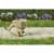 Scotts® Whirl Handheld Spreader Perspective: left