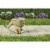 Scotts® Whirl Handheld Spreader Perspective: left