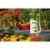 Osmocote® Smart-Release® Flower & Vegetable Plant Food Perspective: left