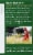 Traditional Medicinal Tulsi With Ginger Tea Bags 16 Count Perspective: left