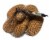 Nature's Way Doing Best® Russet Potato Bag Perspective: left