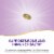 Nature's Way Vitamin D3 Max Bone and Immunity Supplement Softgels Perspective: left