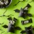 Kit Kat® Milk Chocolate Snack Size Halloween Crisp Wafers With Glow In The Dark Wrappers Perspective: left