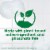 Ultra Palmolive Antibacterial Dish Liquid Perspective: left