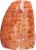 Kentucky Legend® Quarter Sliced Oven Roasted Turkey Breast Perspective: left
