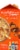 International Delight Reese's Iced Coffee Perspective: left