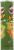 Pringles Jalapeno Potato Crisps Perspective: left