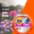 Tide Spring Meadow Hygienic Clean Heavy Duty Power PODS Laundry Detergent Pacs Perspective: left