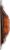 Cedar Bay™ Hickory Maple Cedar Planked Salmon Perspective: left