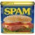 Spam Classic Canned Meat Perspective: left
