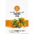 EverRoot Skin & Coat + Safflower Oil Dog Supplement Oil Perspective: left