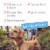 Adams Flea & Tick Collar For Dogs & Puppies Perspective: left