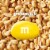 M&M'S Peanut Milk Chocolate Candies Full Size Candy Bag Perspective: left