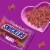 Snickers Minis Chocolate Valentines Day Candy Bars Perspective: left
